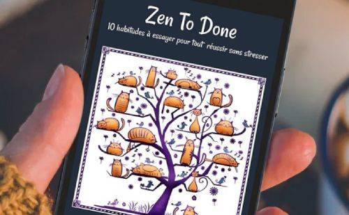 atteignez vos objectifs découvrez zen to done